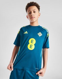 adidas Nordirland Tiro 25 Training Shirt Kinder