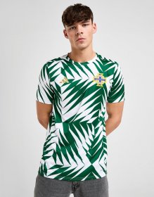 adidas Northern Ireland Pre Match Shirt
