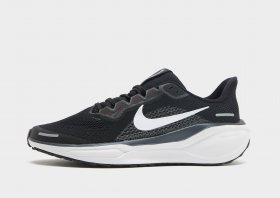 Nike Pegasus 41 Kinder