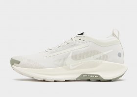 Nike Pegasus Trail 5 GORE-TEX