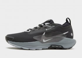 Nike Pegasus Trail 5 GORE-TEX