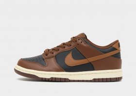 Nike Dunk Low Kinder