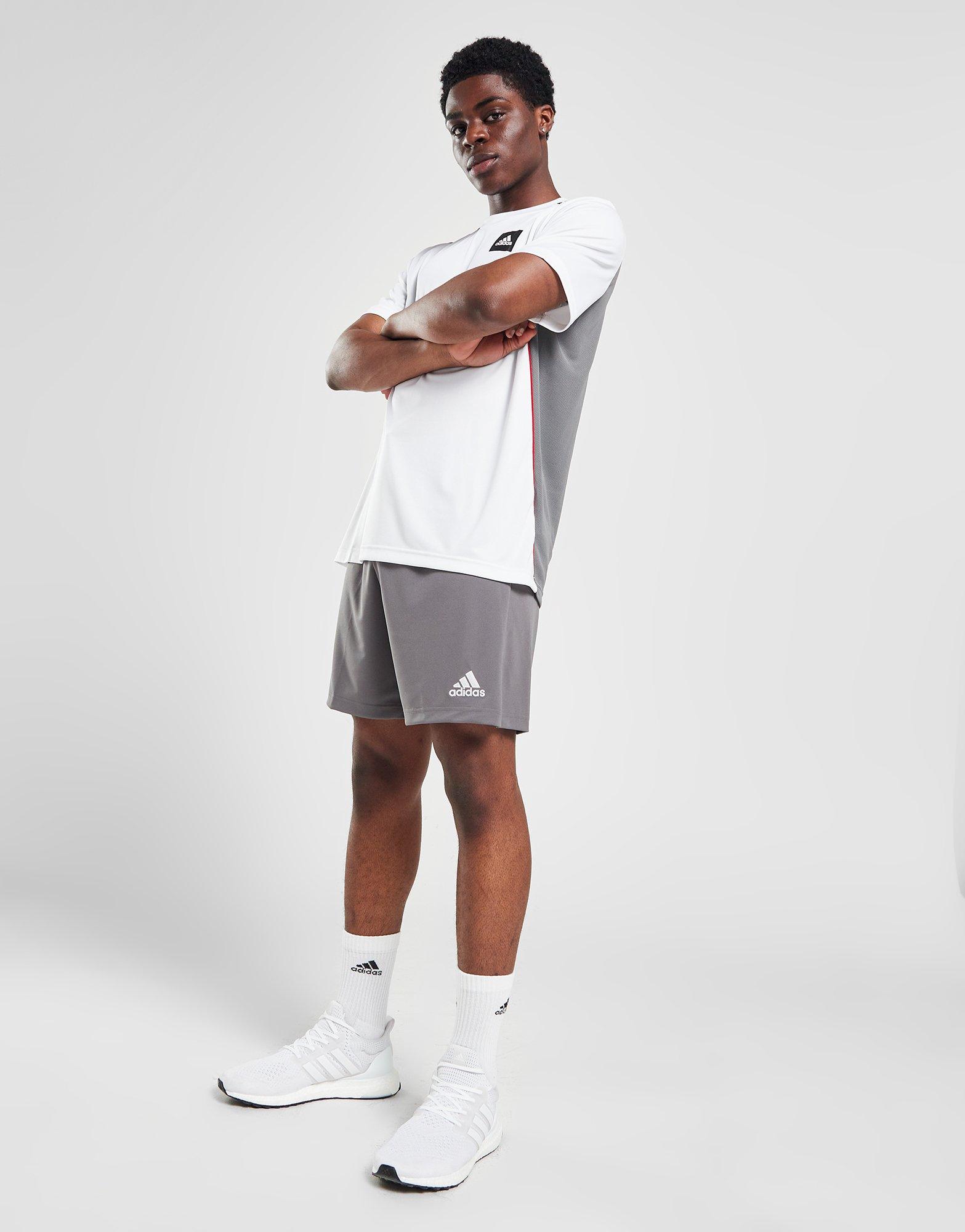 adidas Entrada 22 Shorts
