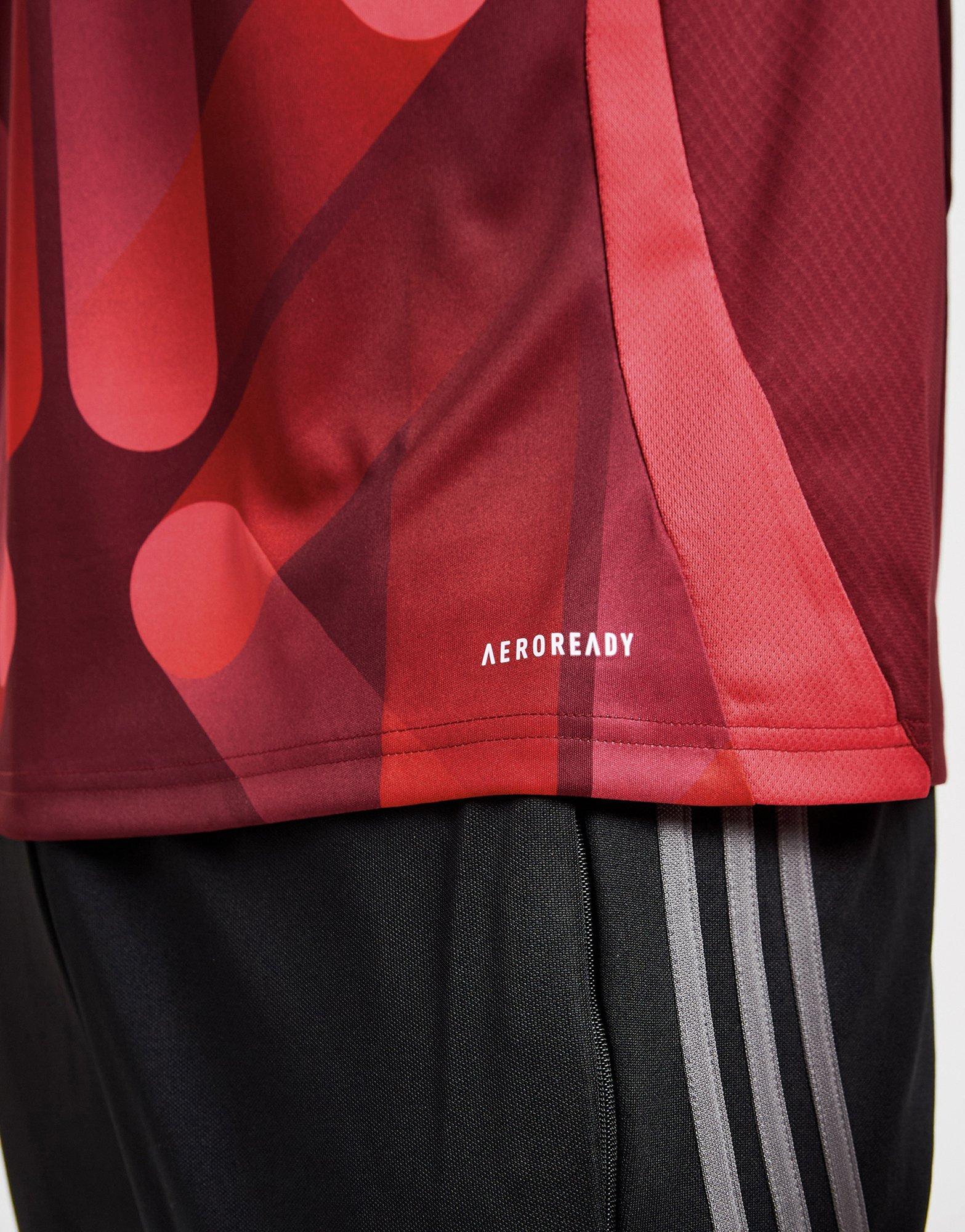 adidas DFB 25 (Frauenteam) Auswärtstrikot