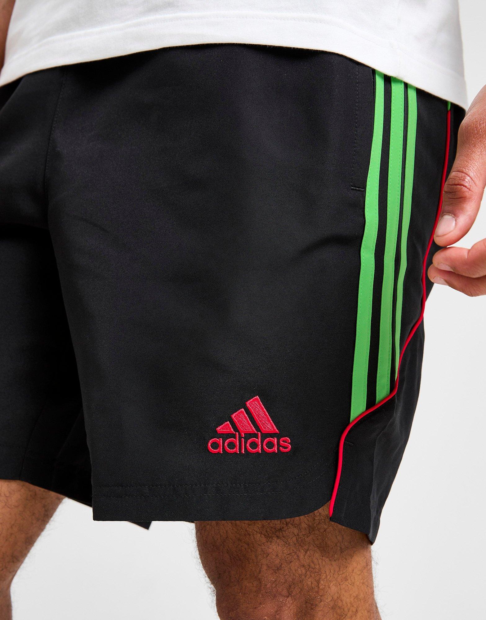 adidas Algerien UBP Shorts