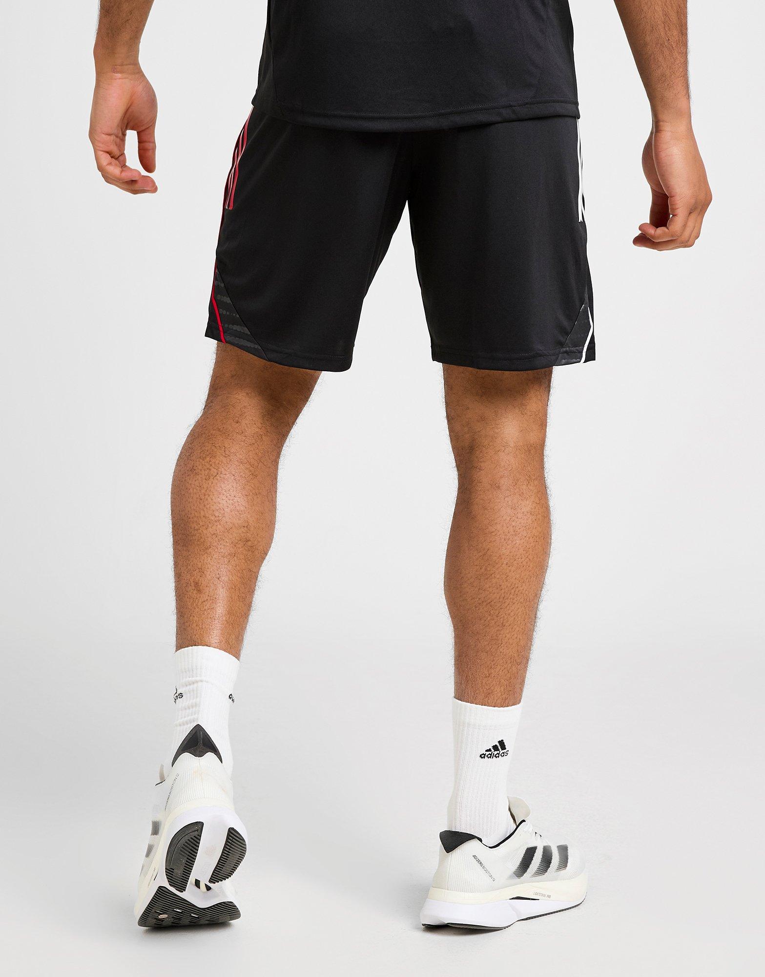 adidas Ajax Trainings-Shorts