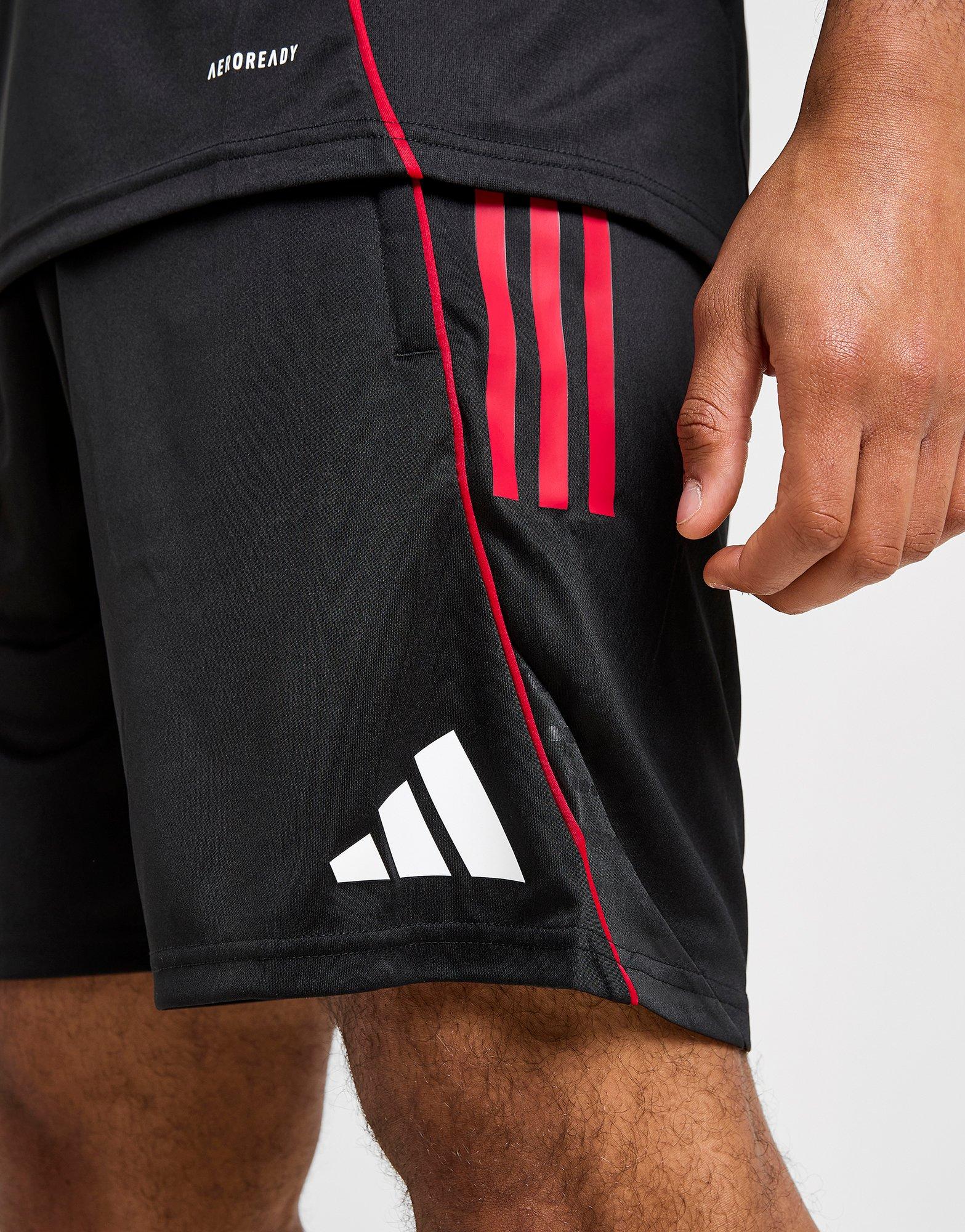 adidas Ajax Trainings-Shorts