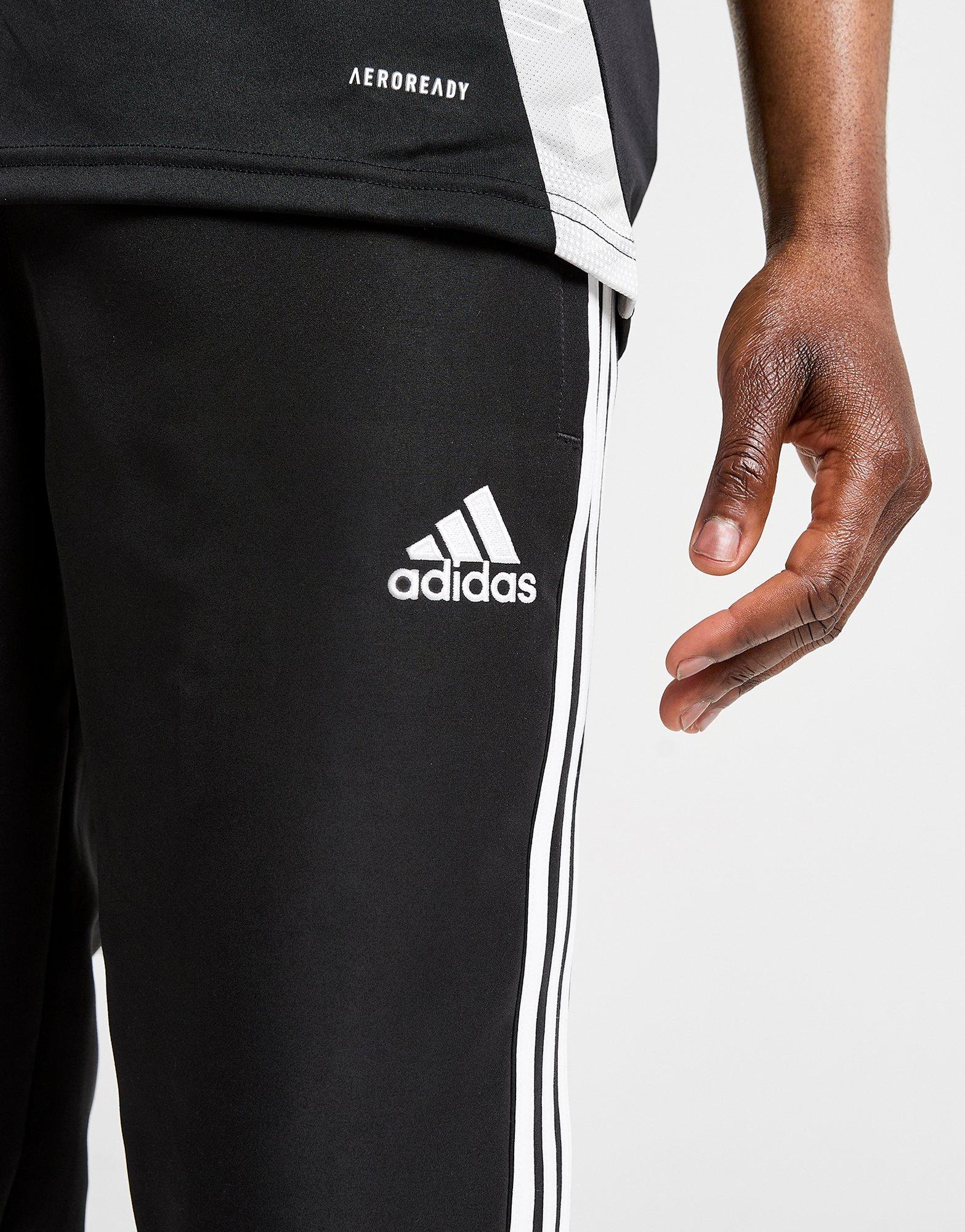 adidas Newcastle United FC Urban Purist Trainingshose